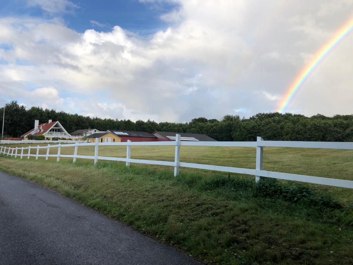 Rainbows End B&B Сорё Экстерьер фото